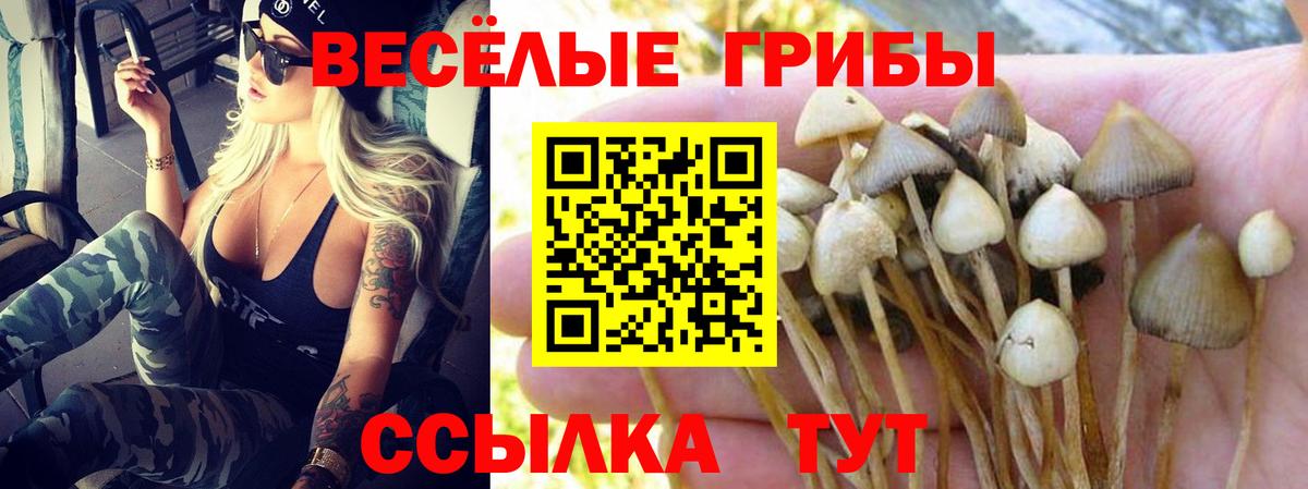 Псилоцибиновые грибы мухоморы  Вход с VPN  Галлюциногенные грибы прущие грибы  Феодосия 